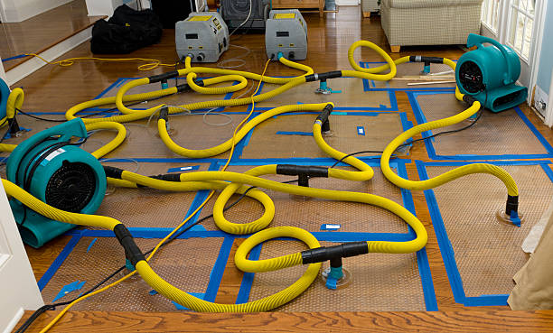 Professional Structural Drying And Dehumidification technician working in Hudson, CO